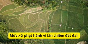 Mức xử phạt hành vi lấn chiếm đất đai