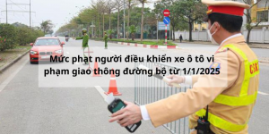 Mức phạt người điều khiển xe ô tô vi phạm giao thông đường bộ từ 1/1/2025